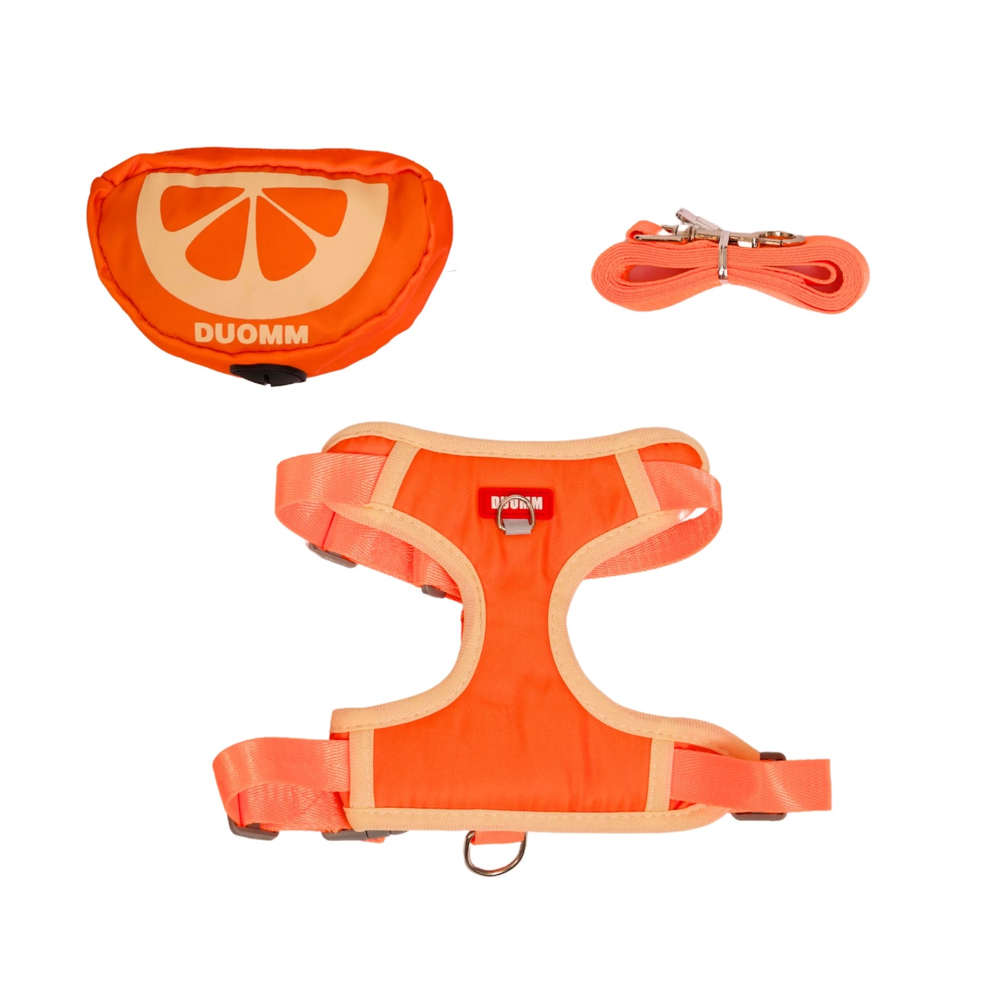 Matching orange fruit leash and harness with treat pouch