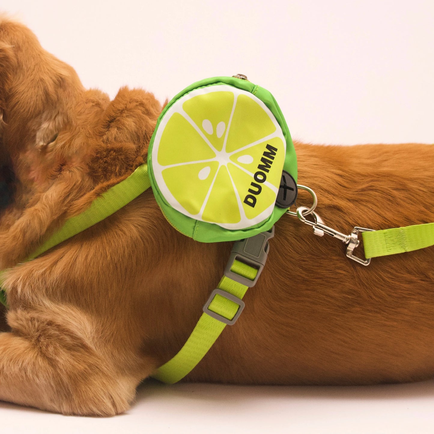 Adjustable dog harness with mini storage pouch