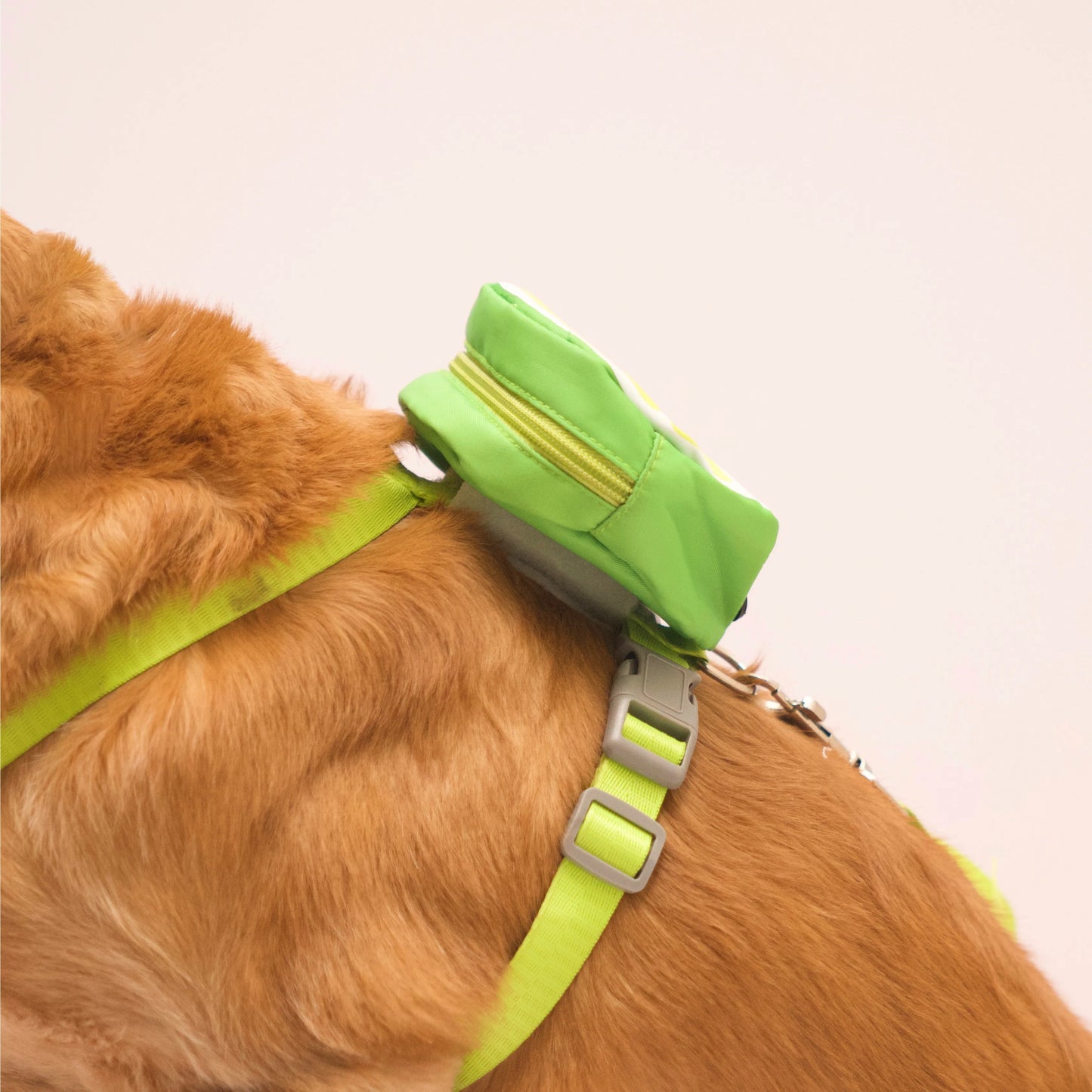 Side view of dog wearing lemon fruit-print harness