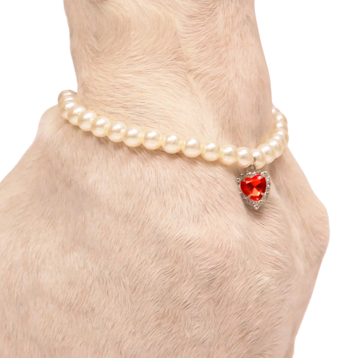 Dog modeling pearl with red stone pet accessory