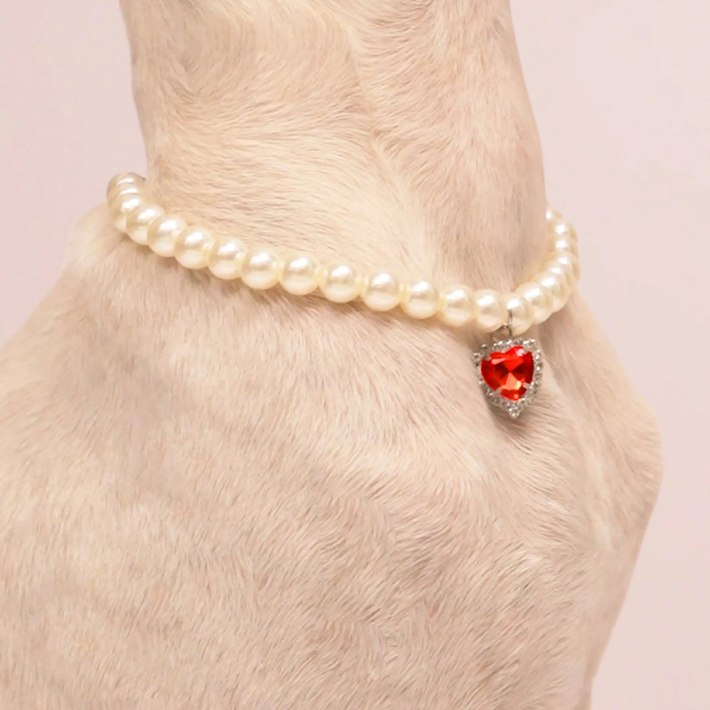 Pet Pearl Necklace with Little Studded Charm - For Small Dogs and Cats