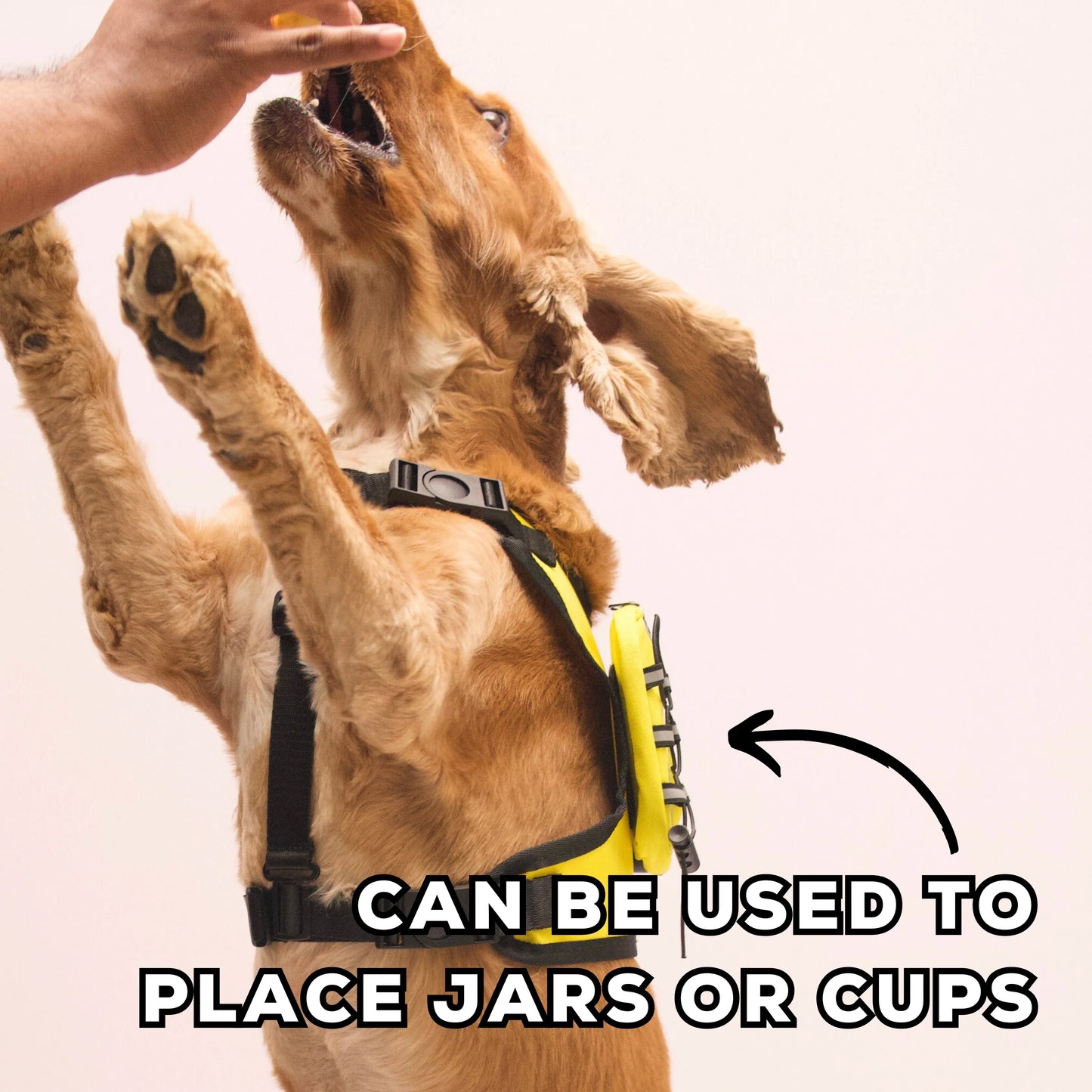 Dog wearing Reflective Camouflage Harness with Holder