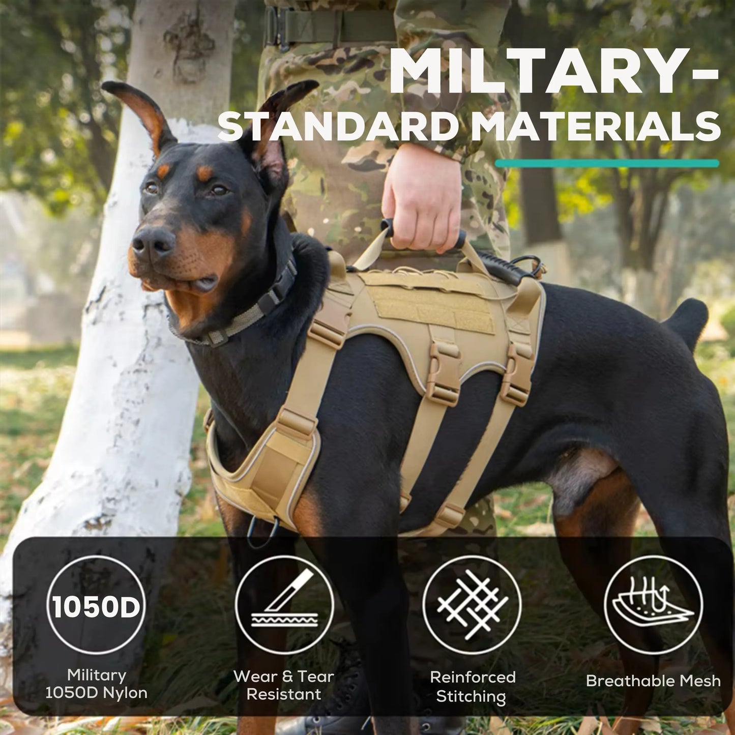 Tactical dog harness with MOLLE system for active dogs