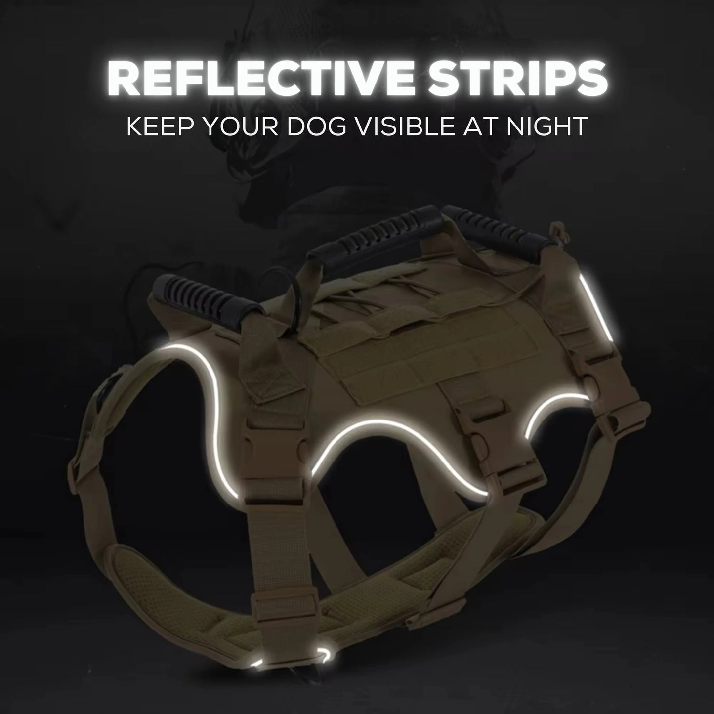 Dog harness with reflective strips visible at night