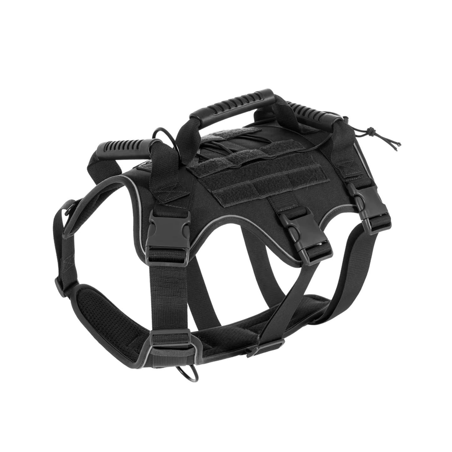 Close-up on tactical black harness with MOLLE system