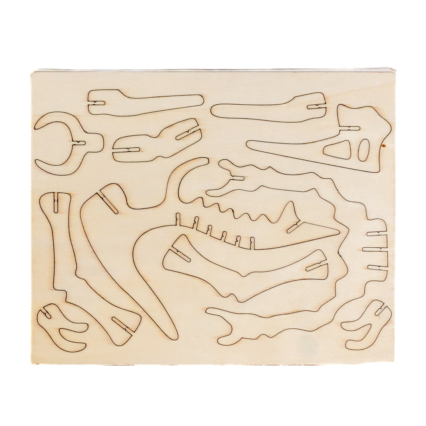 DinoCraft 3D Wooden Puzzle