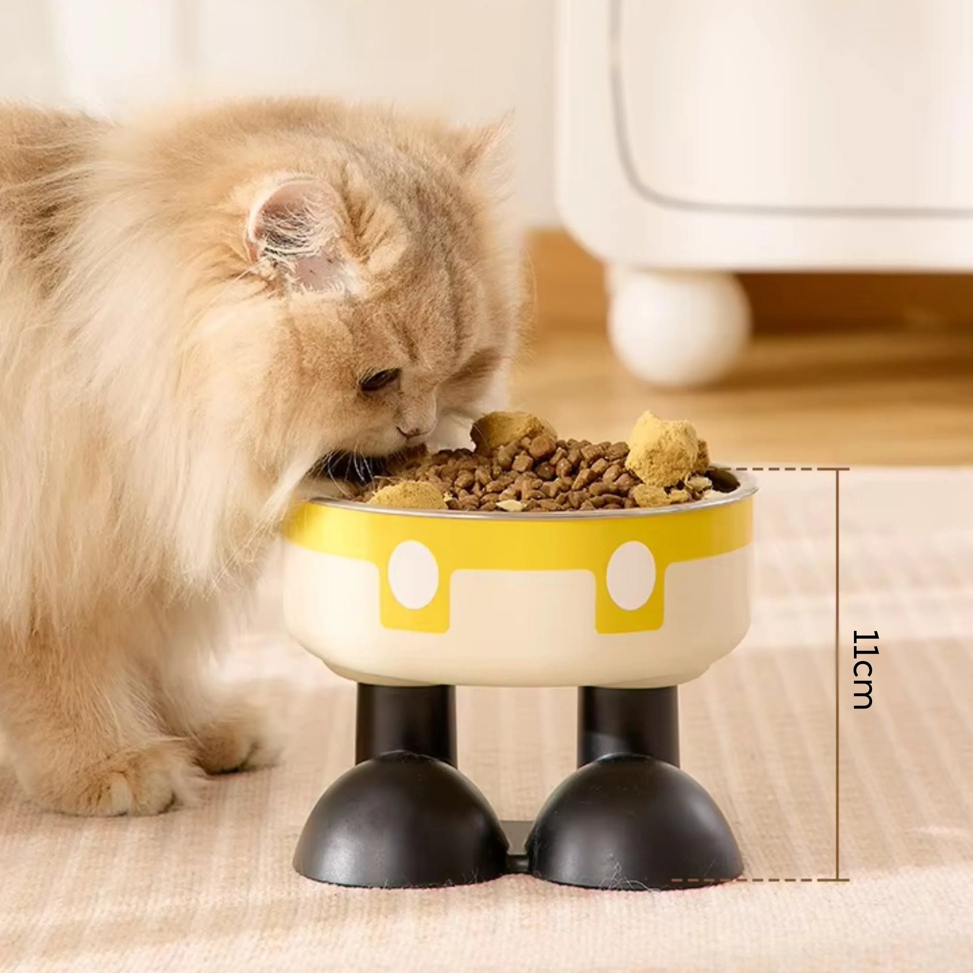 Pet enjoying food from anti-choke stainless steel bowl