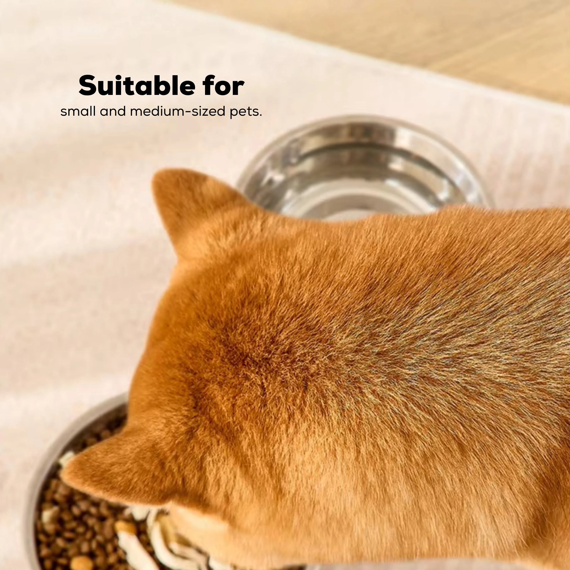 Non-slip pet bowl base for no-mess meals