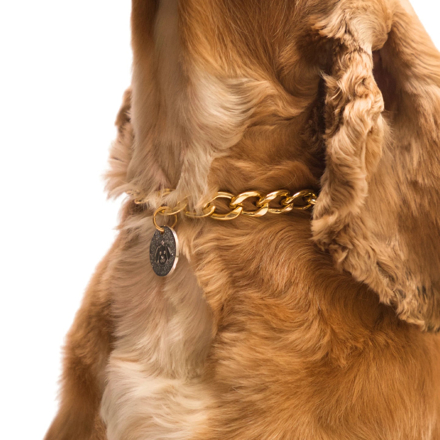 Dog wearing Gold pet necklace with white glitter dog-face charm