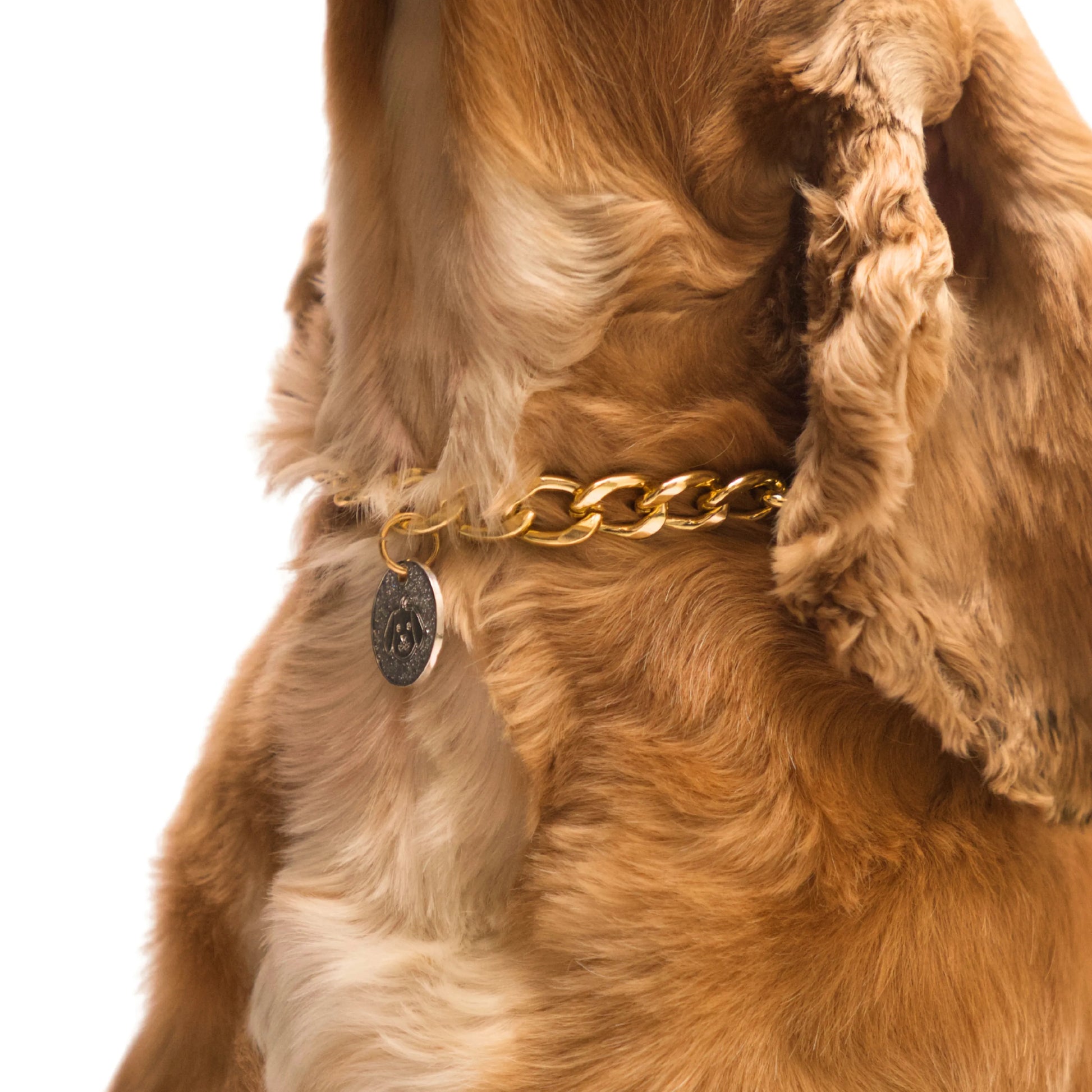 Dog wearing Gold pet necklace with white glitter dog-face charm