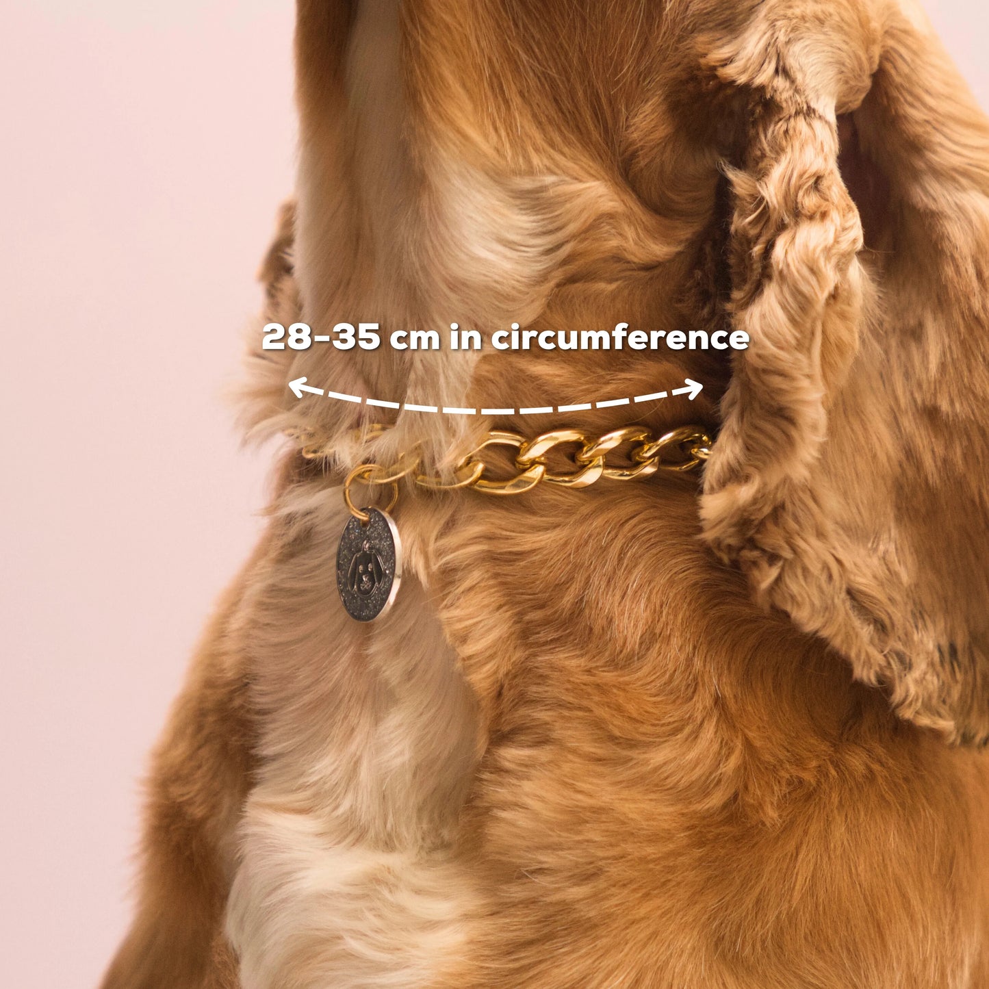 Gold pet necklace with measurements