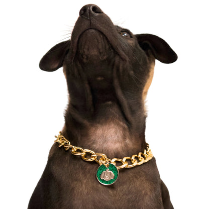 Dog wearing Gold pet necklace with green glitter dog-face charm