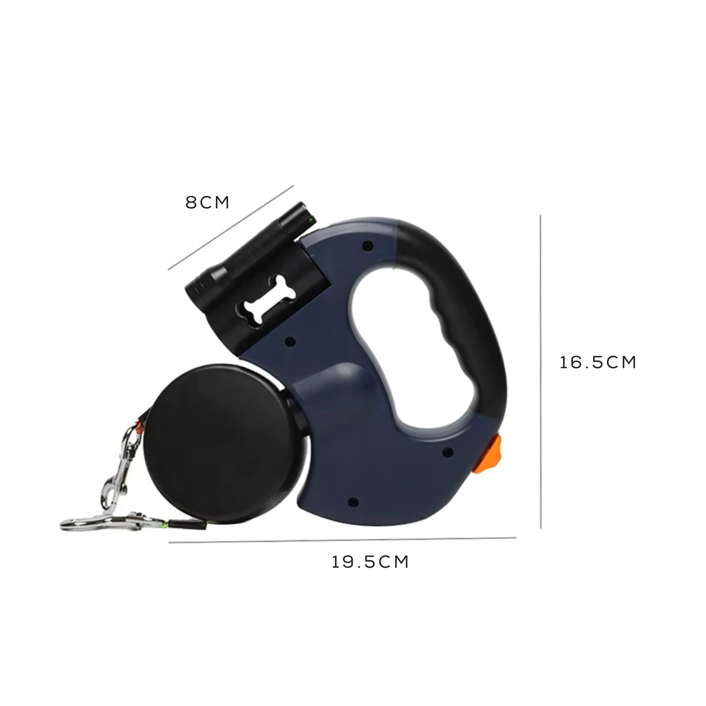 Dog leash with measurements