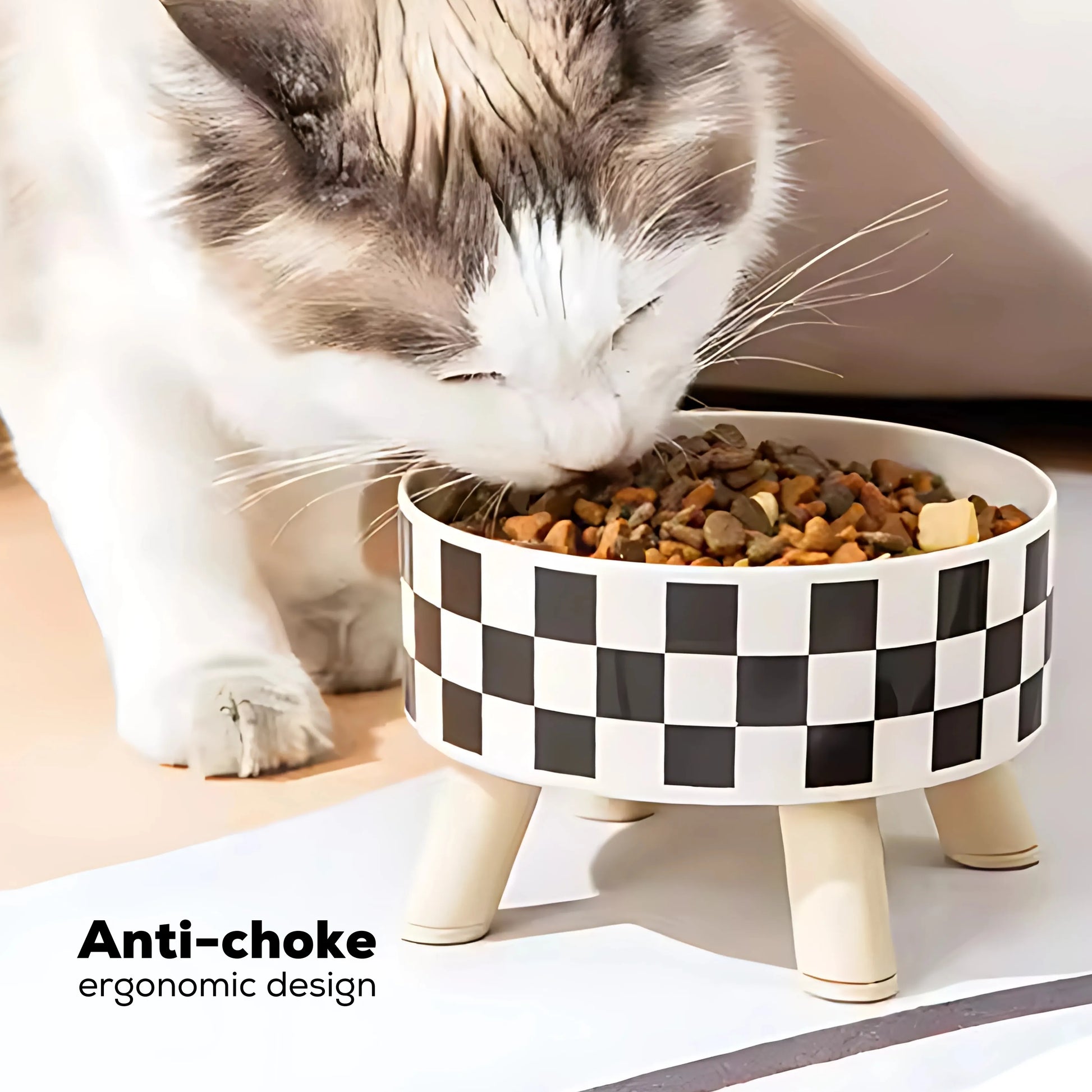 Elevated pet food bowls with modern designs