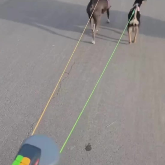 Hand holding dual dog rope leash with two retractable leads.