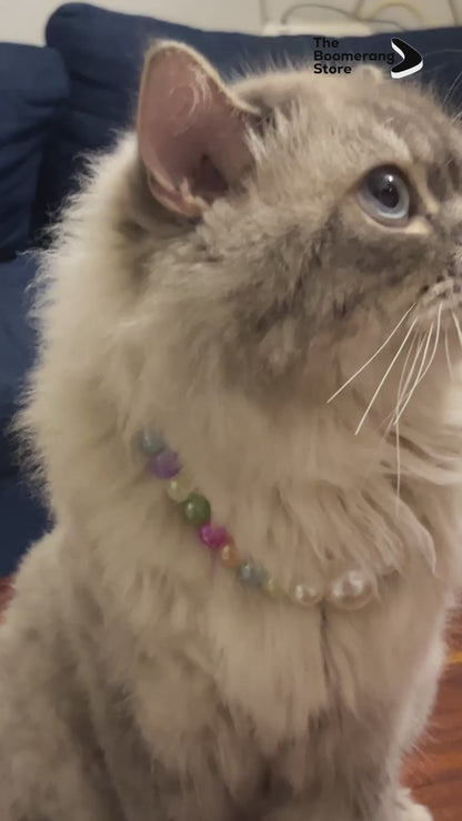 Cats and Dogs wearing a purple pearl collar with a bow charm.