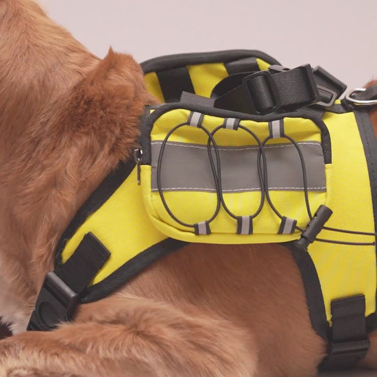 Dog wearing a reflective yellow harness backpack with black straps.